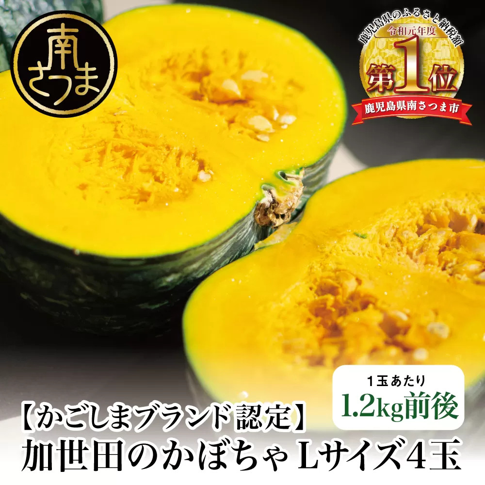 ◆5月中旬頃から出荷開始◆【かごしまブランド】加世田のかぼちゃ 4個 野菜 カボチャ 常温 鹿児島県産 南さつま市