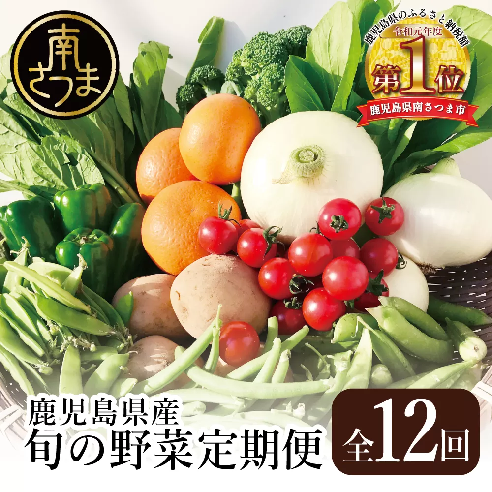 【かごしま野菜の定期便（全12回）】旬鮮野菜と果物のセット（12〜14品目） 野菜 お野菜 九州 野菜BOX 旬 セット 詰合せ 定期便 JA鹿児島県経済連 南さつま市