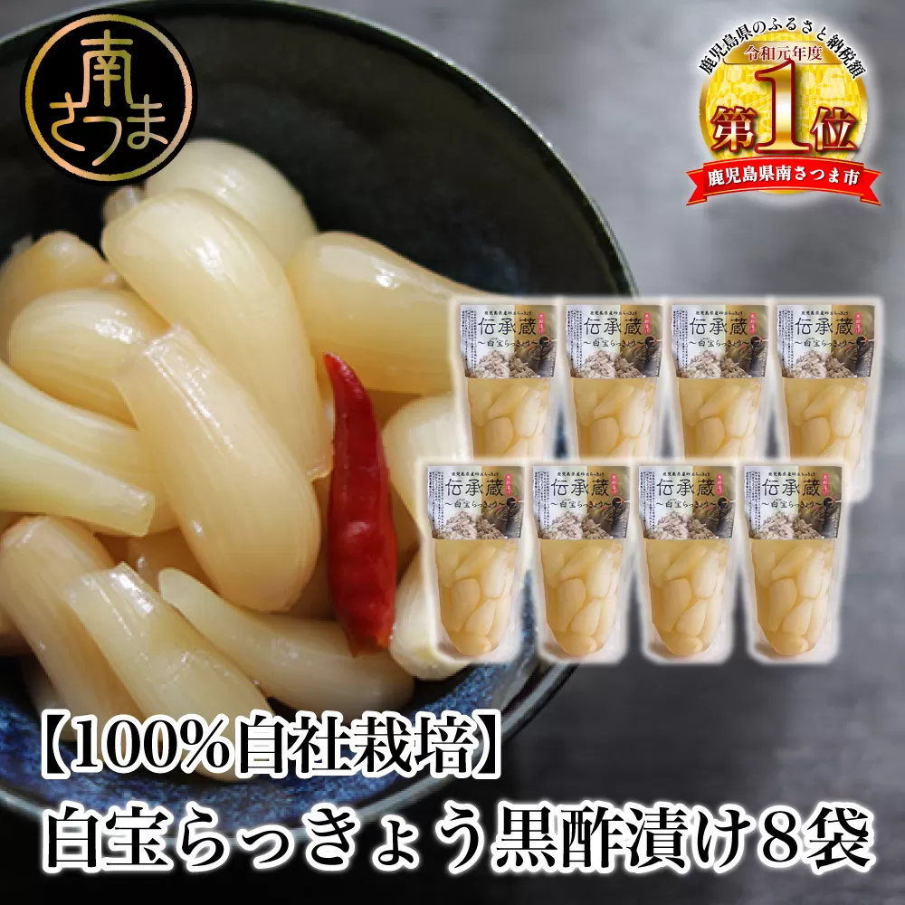 鹿児島県産 〈プレミアム〉伝承蔵〜白宝らっきょう黒酢漬け〜（90g×8P） 惣菜 らっきょう漬 らっきょう 漬物 黒酢 鹿児島 エスランドル 南さつま市