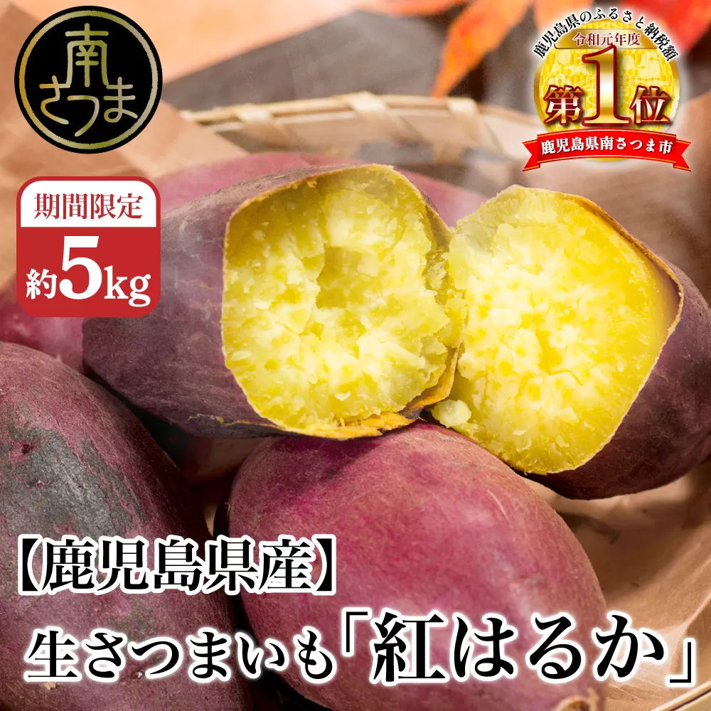 【鹿児島県産】生さつまいも 「紅はるか」約5kg さつまいも 焼き芋 さつま芋 甘藷 サツマイモ べにはるか スイーツ JA 南さつま市