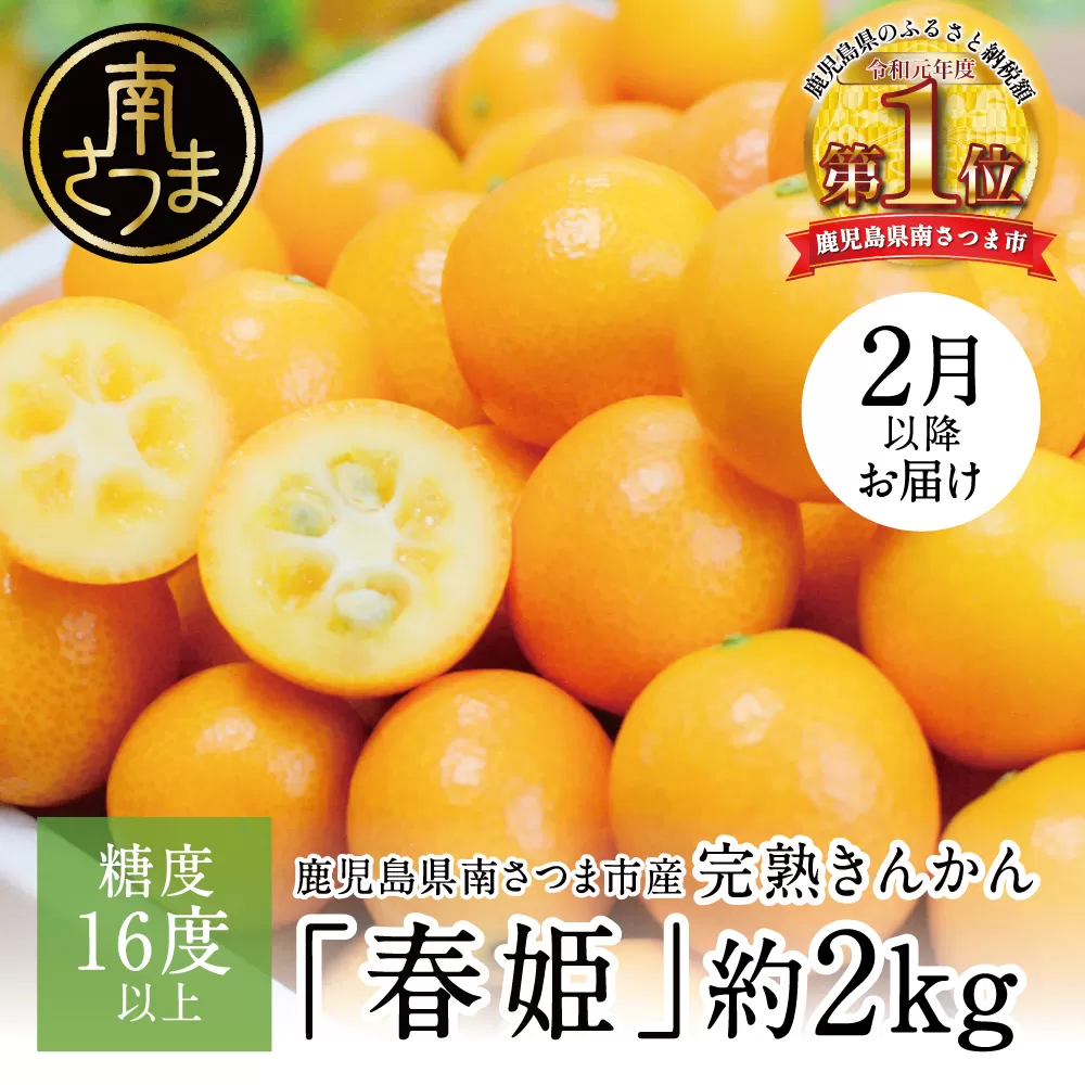 【2024年2月初旬発送開始】鹿児島県産ブランドきんかん「春姫」 約2kg 鹿児島県産 ブランド 金柑 果物 フルーツ 柑橘 常温 JA 南さつま市