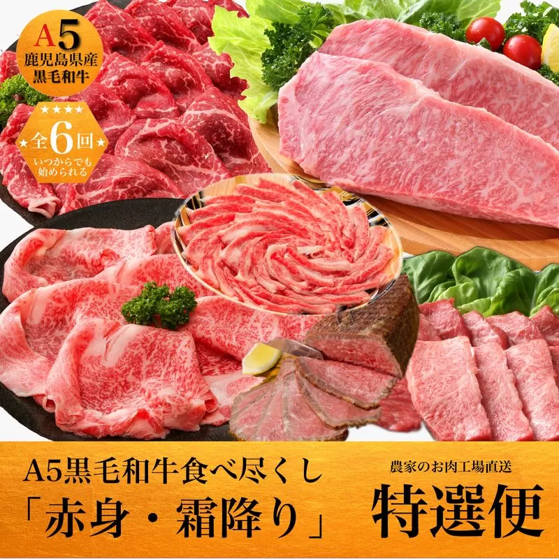 027-95【全6回】鹿児島県産A5黒毛和牛霜降り・赤身食べ尽くし特選便3kg