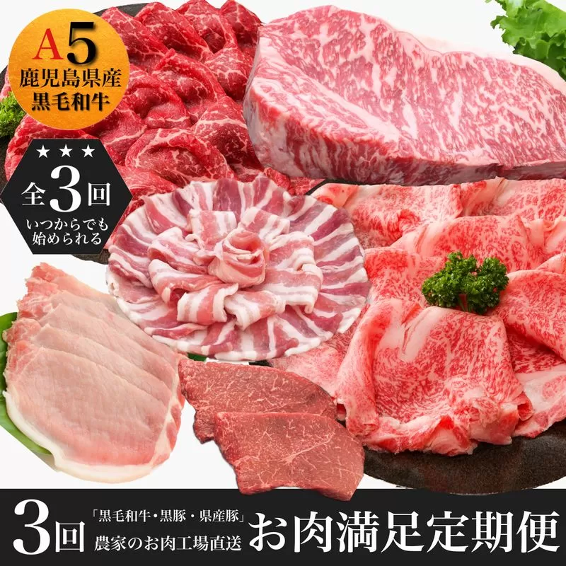 027-94 農家のお肉工場直送【3回定期便】鹿児島県産お肉満足定期便