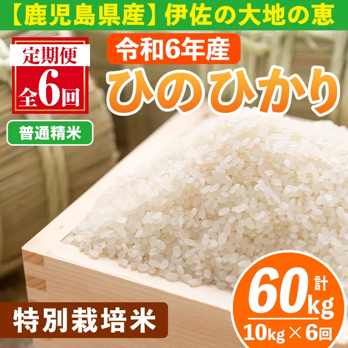 isa517-A 【定期便6回】 ＜普通精米＞令和6年産 鹿児島県伊佐産 特別栽培ひのひかり(計60kg・10kg×6ヵ月) 国産 白米 精米 伊佐米 お米 米 生産者 定期便 ひのひかり 新米【Farm-K】