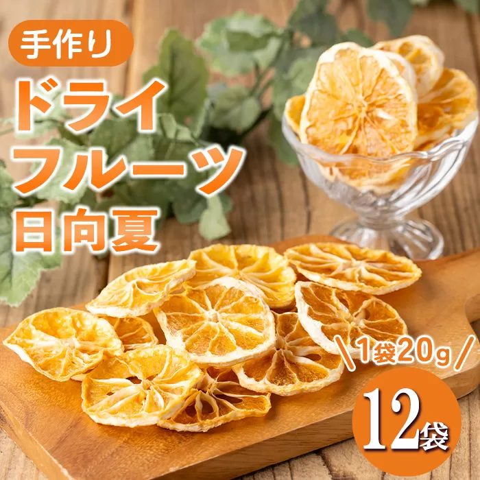 isa567 《数量限定》ドライフルーツ日向夏「そのまんまドライしました。」(計12袋・各20g)  【薩摩美食倶楽部】