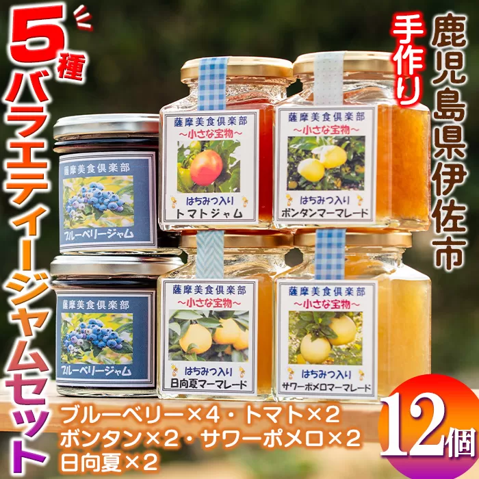 isa553 《数量限定》5種のバラエティージャム食べ比べセット(計12個・ブルーベリー×4、トマト×2、ボンタン×2、サワーポメロ×2、日向夏×2)【薩摩美食倶楽部】