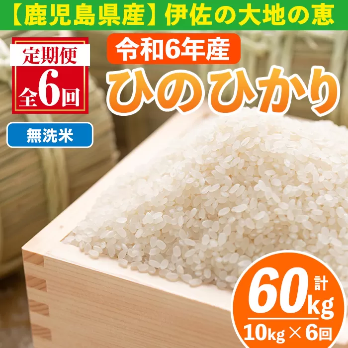 isa520-B 【定期便6回】 ＜無洗米＞令和6年産 鹿児島県伊佐南浦産ひのひかり (合計60kg・計10kg×6ヵ月) 国産 白米 精米 無洗米 伊佐米 お米 米 生産者 定期便 ひのひかり 新米【Farm-K】