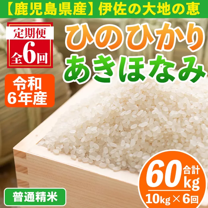 isa518-A 【定期便6回】＜普通精米＞令和6年産 鹿児島県伊佐南浦産 ひのひかり5kg・あきほなみ5kg (合計60kg・計10kg×6ヵ月) 国産 白米 精米 伊佐米 お米 米 生産者 定期便 ひのひかり あきほなみ 新米【Farm-K】