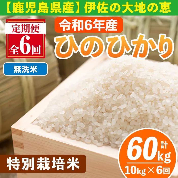 isa517-B 【定期便6回】 ＜無洗米＞令和6年産 鹿児島県伊佐産 特別栽培ひのひかり(計60kg・10kg×6ヵ月) 国産 白米 精米 無洗米 伊佐米 お米 米 生産者 定期便 ひのひかり 新米【Farm-K】