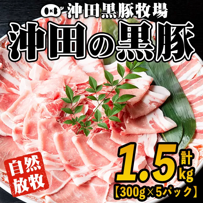 B6-01 鹿児島県産！贅沢な黒・沖田の黒豚(計1.5kg・ロース、肩ロース、バラ、モモ、ウデいずれか5パック) 自然放牧・自家製飼料で大切に育てられた黒豚肉【沖田黒豚牧場】