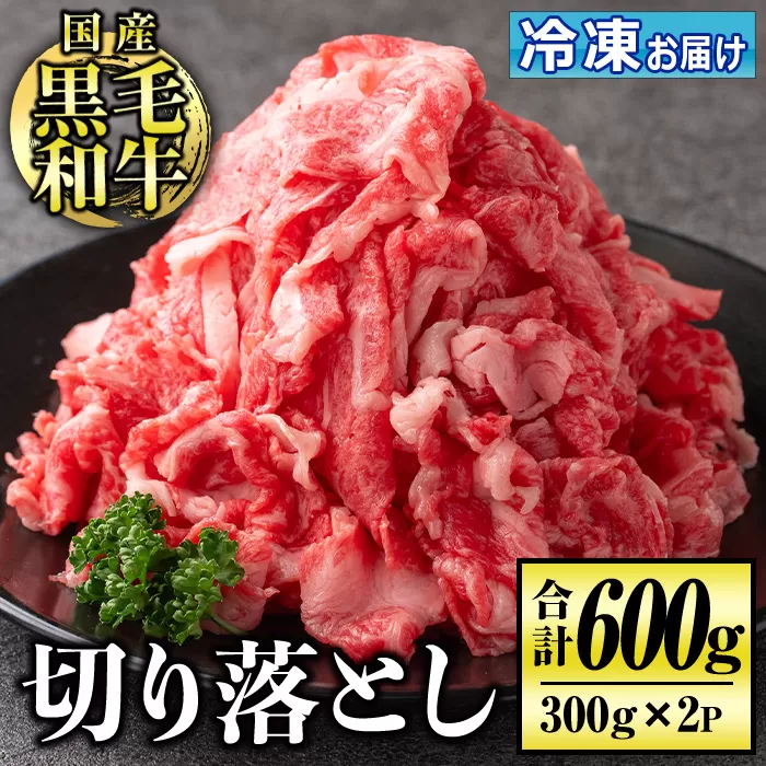 isa508 国産黒毛和牛 切り落とし(計600g・300g×2P)【お肉の直売所 伊佐店】