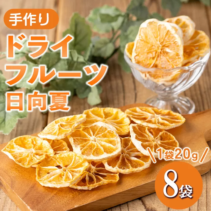 isa566 《数量限定》ドライフルーツ日向夏「そのまんまドライしました。」(計8袋・各20g)  【薩摩美食倶楽部】