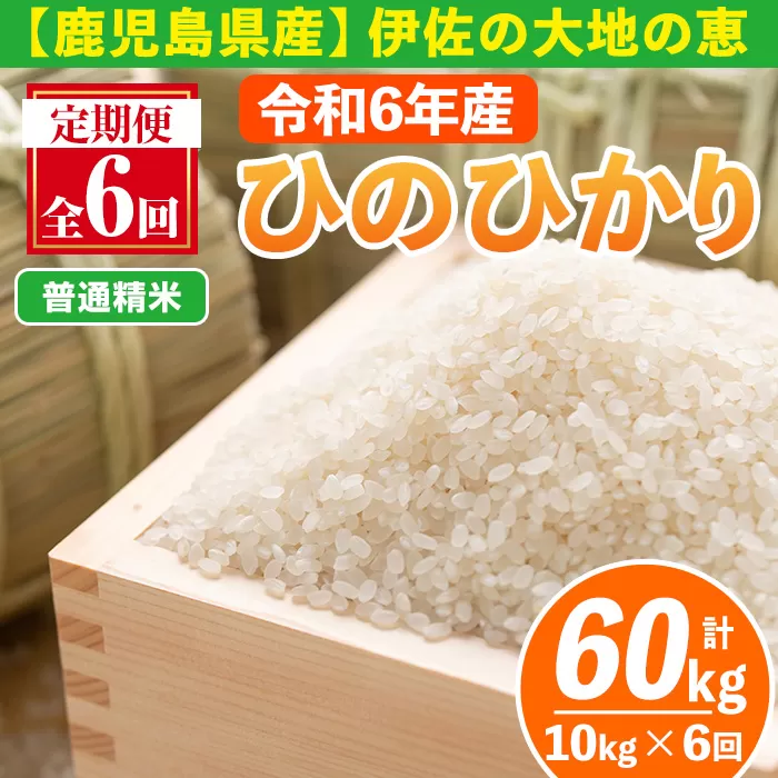 isa520-A 【定期便6回】 ＜普通精米＞令和6年産 鹿児島県伊佐南浦産ひのひかり (合計60kg・計10kg×6ヵ月) 国産 白米 精米 伊佐米 お米 米 生産者 定期便 ひのひかり 新米【Farm-K】