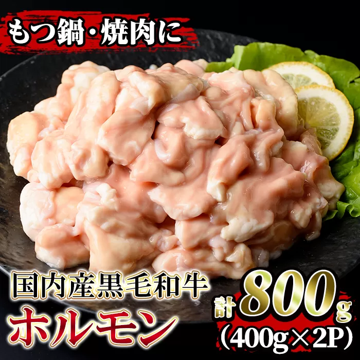 isa205 国内産黒毛和牛！ホルモン(計800g・400g×2P)大腸・小腸・赤センマイをミックス！小分け真空パックでお届け！もつ鍋・焼肉・煮込みに【堀ノ内商会】