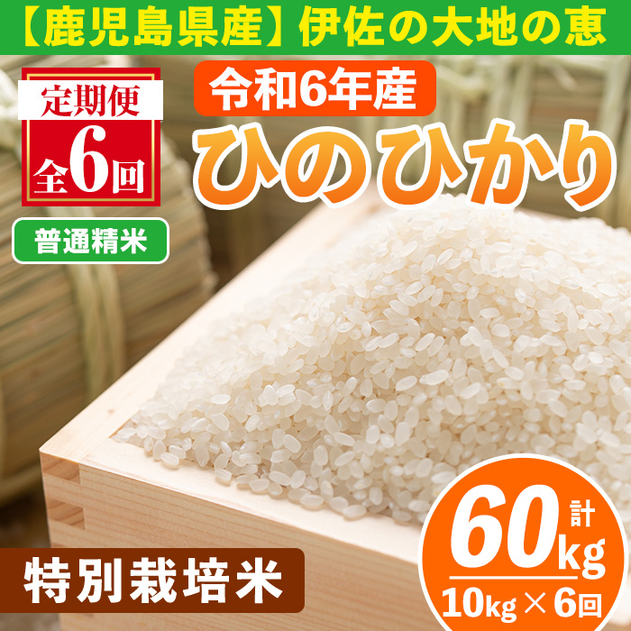 isa517-A 【定期便6回】 ＜普通精米＞令和6年産 鹿児島県伊佐産 特別栽培ひのひかり(計60kg・10kg×6ヵ月) 国産 白米 精米 伊佐米  お米 米 生産者 定期便 ひのひかり 新米【Farm-K】｜伊佐市｜鹿児島県｜返礼品をさがす｜まいふる by AEON CARD