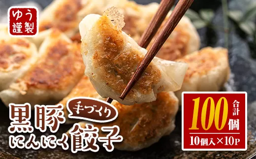 isa590 手づくり黒豚にんにく餃子(計100個・10個入り×10P) 鹿児島 手作り 生餃子 ギョウザ 黒豚 豚肉 冷凍食品 おかず おつまみ 惣菜 小分け 焼くだけ 簡単調理 冷凍便【工房ゆう】