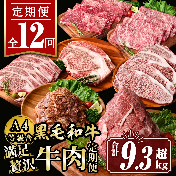 isa585 【定期便12回】満足贅沢 牛肉定期便(合計9.3kg超) 【サンキョーミート株式会社】