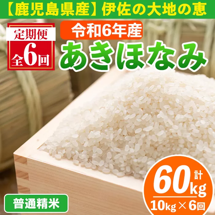 isa519-A 【定期便6回】 ＜普通精米＞令和6年産 鹿児島県伊佐産あきほなみ (合計60kg・計10kg×6ヵ月) 国産 白米 精米 伊佐米 お米 米 生産者 定期便 あきほなみ 新米【Farm-K】