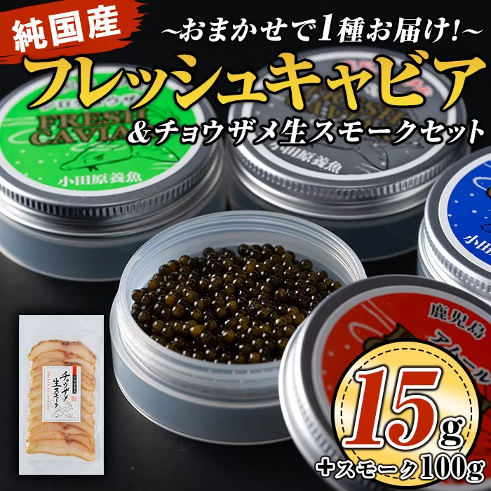 isa557 〈毎月数量限定〉おまかせフレッシュキャビア(15g×1種)＆チョウザメスモーク(100g×1P)セット【小田原養魚】