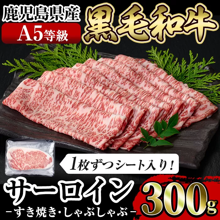 a905 ≪A5等級≫鹿児島県産黒毛和牛サーロインスライス(300g)【水迫畜産】姶良市 国産 肉 牛肉 牛 黒毛和牛 サーロイン 薄切り スライス すき焼き しゃぶしゃぶ