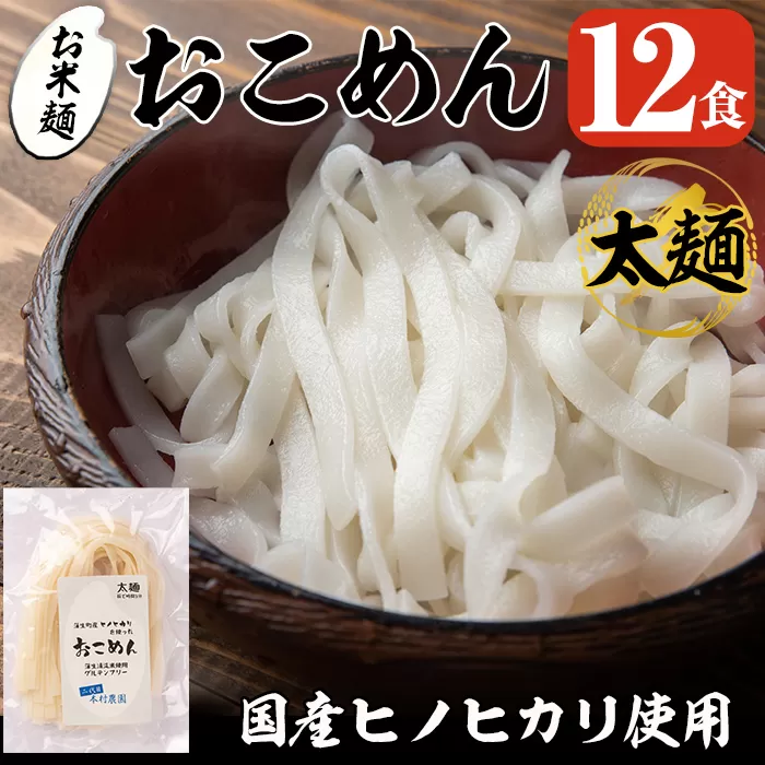 a741 おこめん太麺(100g×12食)【本村農園】