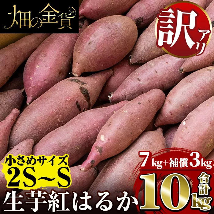 a732 《訳あり》畑の金貨・生芋紅はるか7kgと補償3kg 合計10kg(小さ目サイズ)【甘いも販売所】姶良市 芋 いも さつまいも 紅はるか べにはるか 熟成