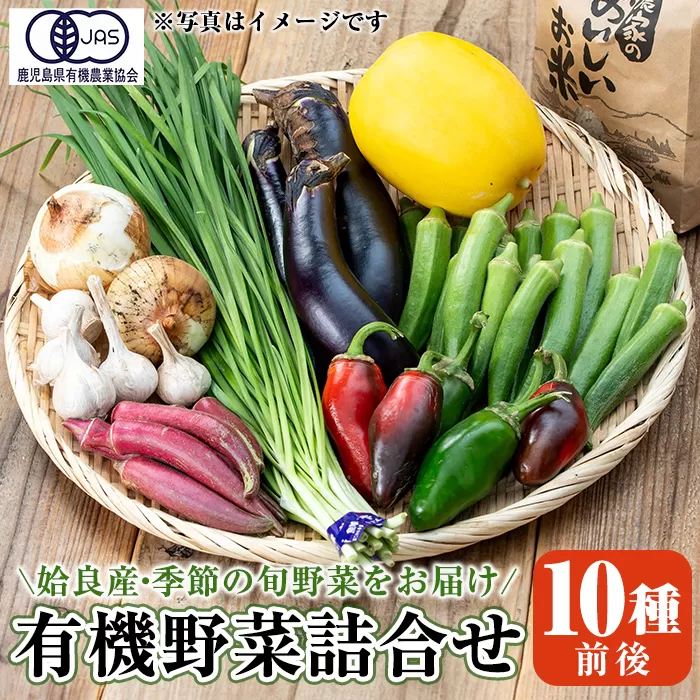 a967 姶良産 有機野菜の詰合せセット(10種前後)【今村農園】姶良市 国産 鹿児島県 野菜 やさい 旬 有機栽培 詰め合わせ 春 夏 秋 冬 季節