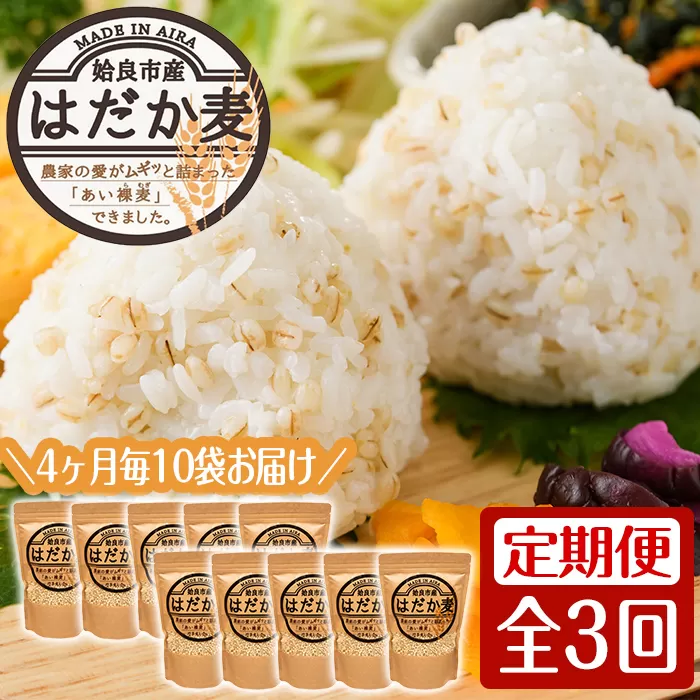 a767 《数量限定・定期便全3回》姶良市産はだか麦(計12kg・400g×10袋×3回)【竹之内穀類産業】