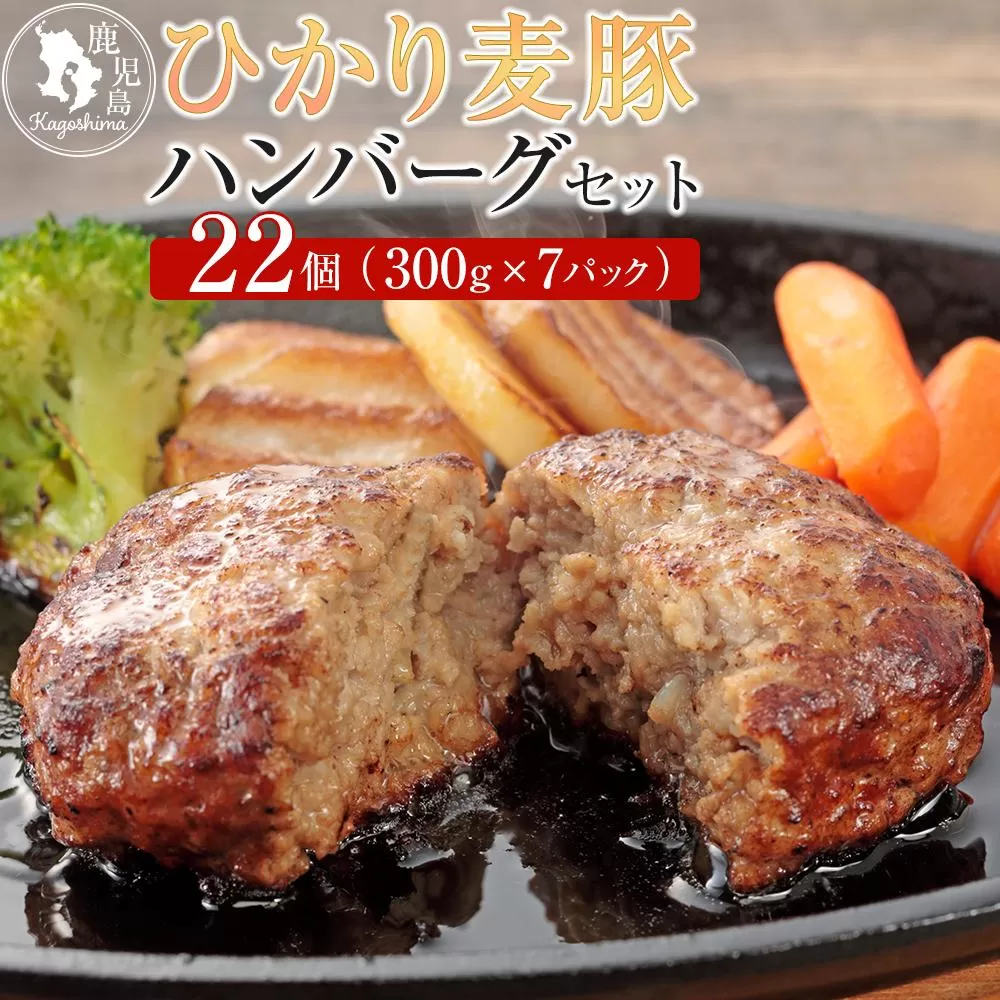 ひかり麦豚　ハンバーグセット サイズ違い 22個 ( 300g × 7パック )