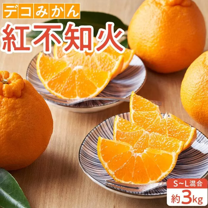 【先行予約】デコみかん 紅不知火（約3kg）