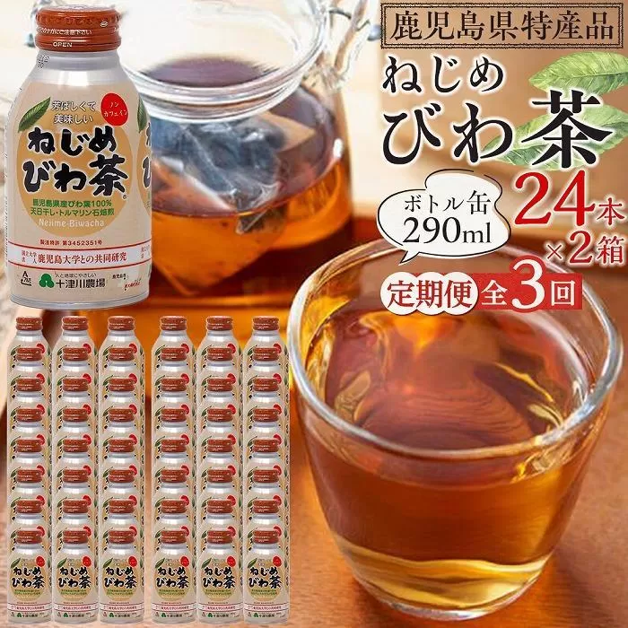 【 定期便 全3回 】 ねじめびわ茶 ボトル缶 6ケース ≪ 1回あたり48本 (24本入り×2箱) ≫ 2か月おきにお届け