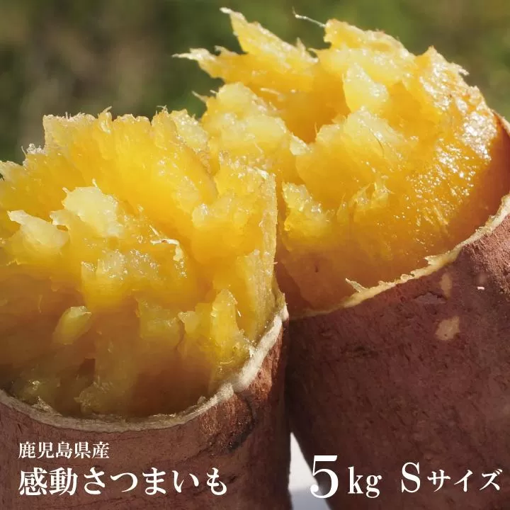 【鹿児島県産】熟成 紅はるか 5kg (1箱 ) Sサイズ さつまいも