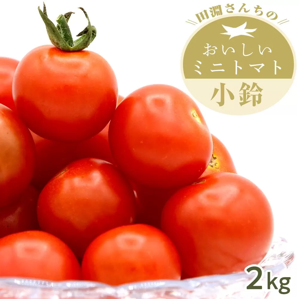 田淵さんちの美味しいミニトマト小鈴 2kg（1.0kg×2箱）