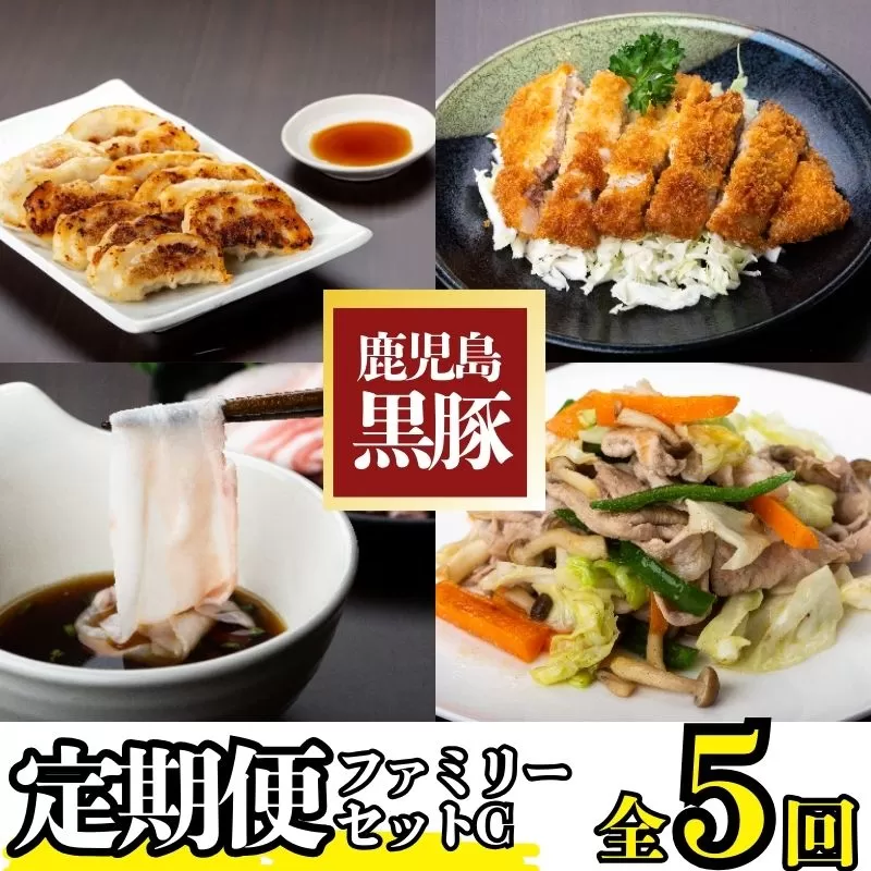  ＜定期便・全5回＞かごしま黒豚ふるさと定期便 ファミリーセットC(月1回×5ヶ月)【和田養豚】