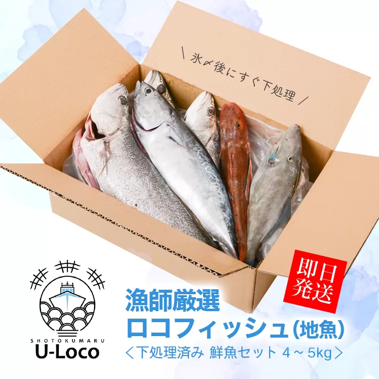 漁師厳選！ロコフィッシュ(地魚) 下処理済 鮮魚 ボックス(約4～5kg)