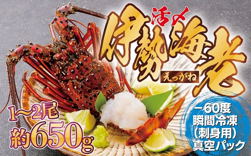 【活き〆冷凍】肝付町内之浦産伊勢海老(えっがね)の刺身(約650g)