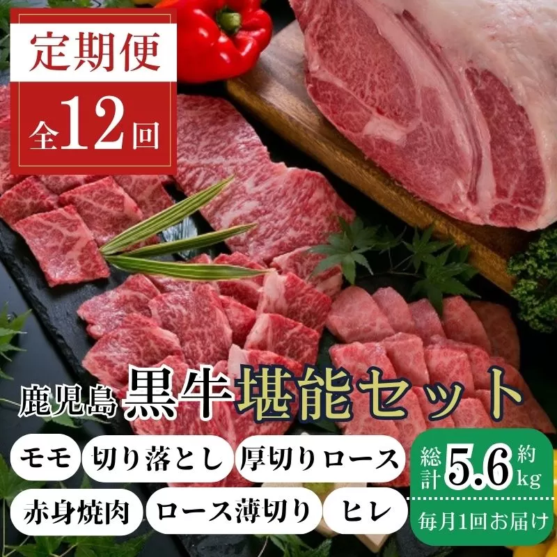 ＜定期便・全12回(連続)＞鹿児島黒牛定期便・堪能セット(全6種・合計5.6kg) 