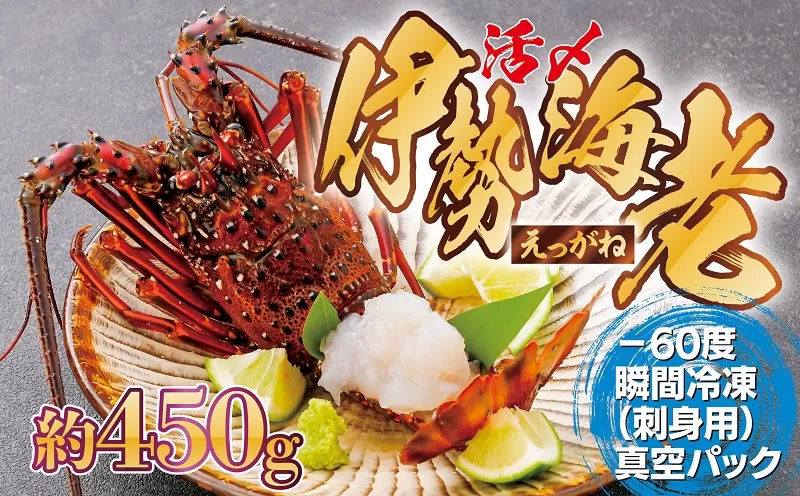 【活き〆冷凍】肝付町内之浦産　伊勢海老(えっがね)の刺身 (約450g)