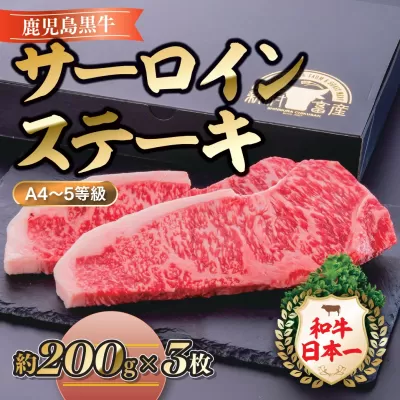 ＜A4～5等級＞鹿児島県産黒毛和牛サーロインステーキ(計約600g・約200g×3枚)【新村畜産】