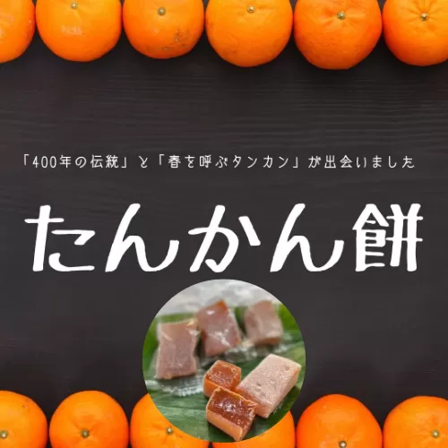 宇検村産たんかん100％使用「たんかん餅」(15個入り×6パック)
