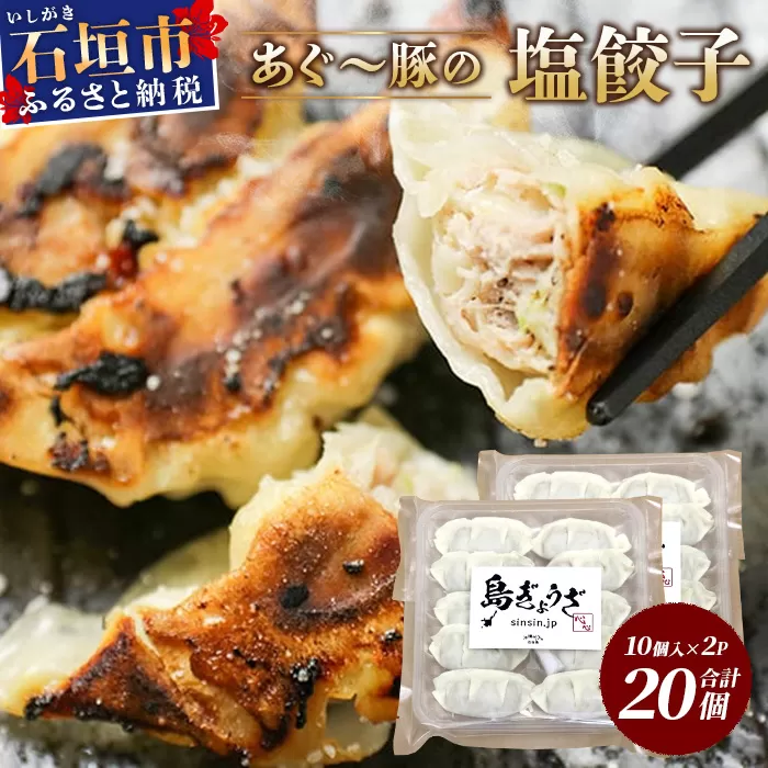 ≪餃子≫ あぐー豚 ぎょうざ 20個【 ブランド豚 アグー豚 ぎょうざ 餃子 焼き餃子 水餃子 焼餃子 沖縄県 石垣市 】GS-3