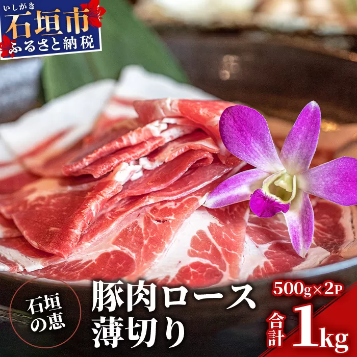 【産地直送】石垣の恵 アグー豚 豚肉ロース薄切り 500g×2パック【合計1kg】KB-33