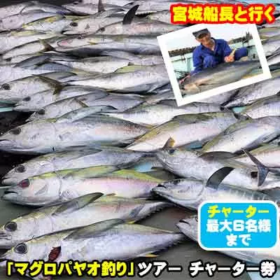 宮城船長と行く【マグロ釣りパヤオツアー】チャーター券（大人６名迄）