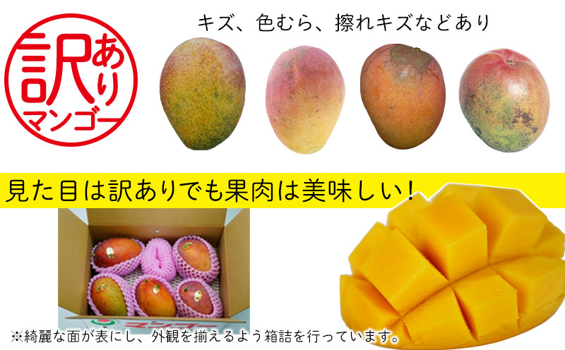 2024年発送】訳あり品！沖縄県北中城村 完熟マンゴー約1.5Kg×2箱【先行予約】沖縄 果物 訳あり フルーツ くだもの 数量限定 アップルマンゴー  アーウィンマンゴー 芳醇 トロピカルフルーツ｜北中城村｜沖縄県｜返礼品をさがす｜まいふる by AEON CARD