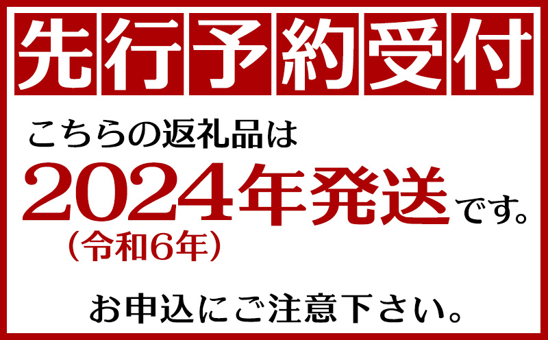 2024年発送】沖縄県北中城村完熟マンゴー 化粧箱・秀品 約1kg【先行予約】沖縄 果物 秀品 フルーツ くだもの 数量限定 アップルマンゴー  アーウィンマンゴー 芳醇 トロピカルフルーツ｜北中城村｜沖縄県｜返礼品をさがす｜まいふる by AEON CARD