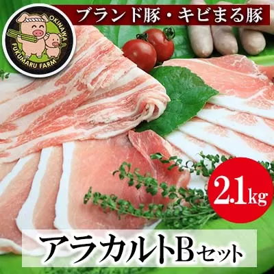 【ブランド豚・キビまる豚】アラカルトセットＢ（2.1kg）