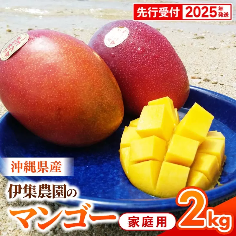 【先行受付】【2025年発送】伊集農園 沖縄県産マンゴー ご家庭用 約2kg