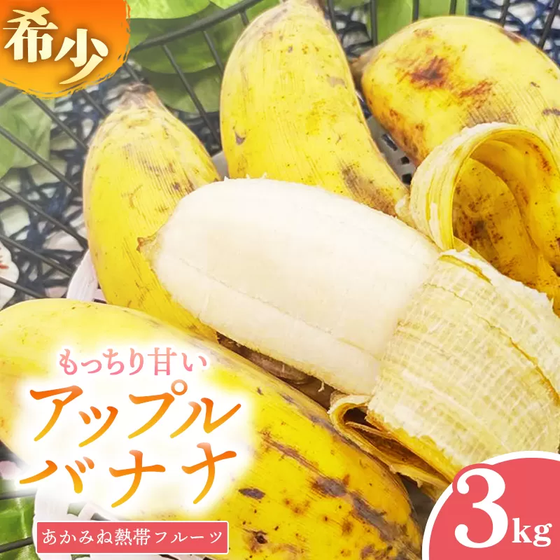 【希少栽培種】あかみね熱帯フルーツのアップルバナナ約3kg