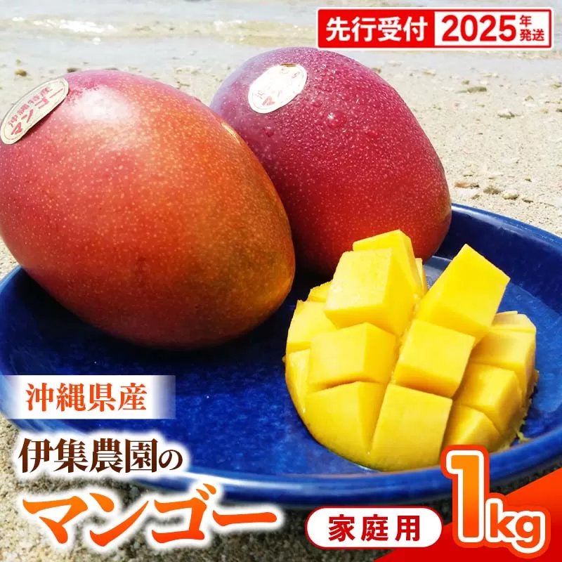 【先行受付】【2025年発送】伊集農園 沖縄県産マンゴー ご家庭用 約1kg